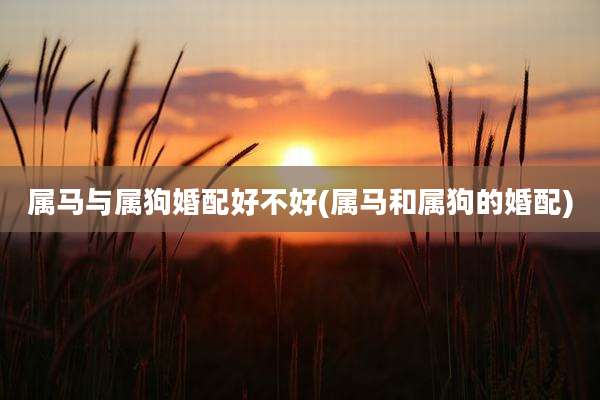 属马与属狗婚配好不好(属马和属狗的婚配)