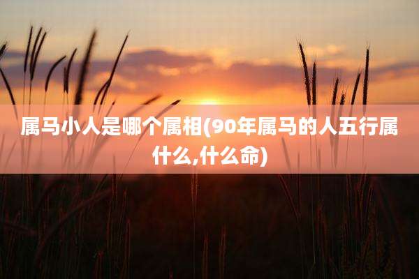 属马小人是哪个属相(90年属马的人五行属什么,什么命)