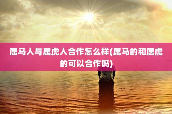 属马人与属虎人合作怎么样(属马的和属虎的可以合作吗)