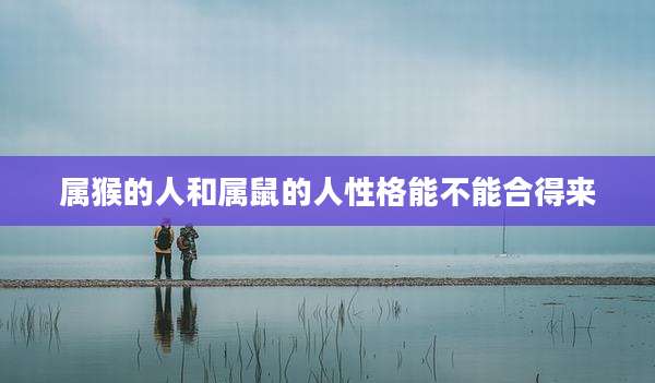 属猴的人和属鼠的人性格能不能合得来