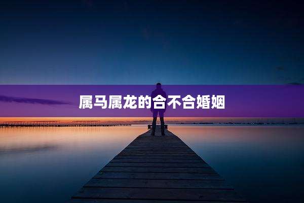 属马属龙的合不合婚姻