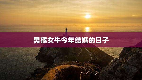男猴女牛今年结婚的日子