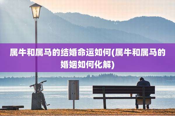 属牛和属马的结婚命运如何(属牛和属马的婚姻如何化解)