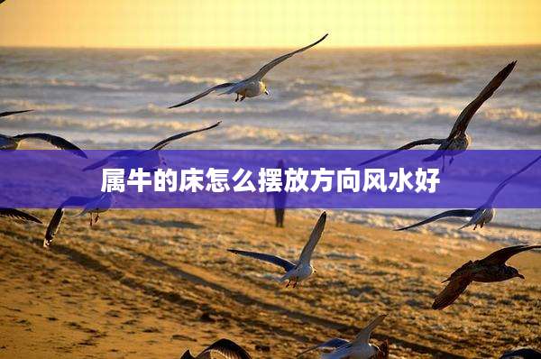 属牛的床怎么摆放方向风水好