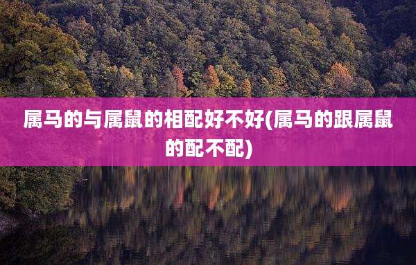 属马的与属鼠的相配好不好(属马的跟属鼠的配不配)