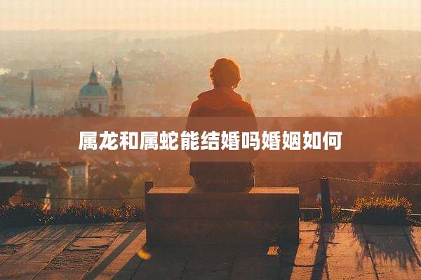 属龙和属蛇能结婚吗婚姻如何