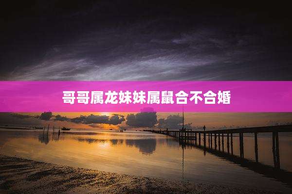 哥哥属龙妹妹属鼠合不合婚