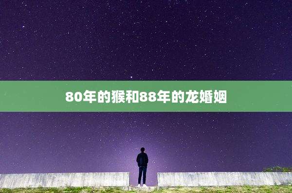 80年的猴和88年的龙婚姻