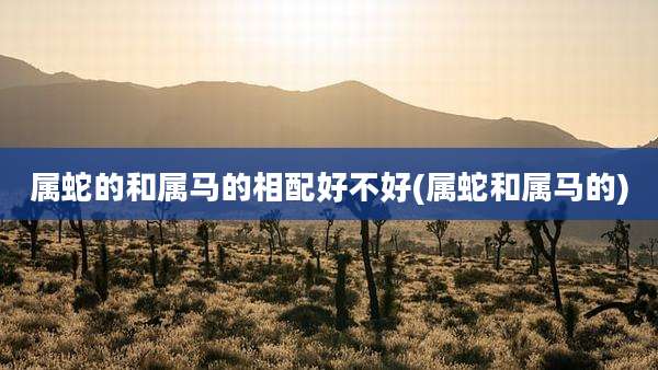 属蛇的和属马的相配好不好(属蛇和属马的)