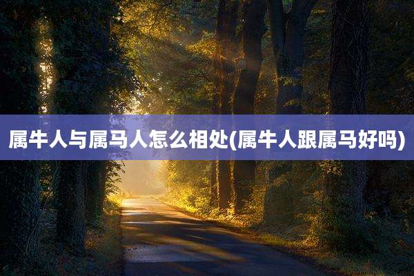 属牛人与属马人怎么相处(属牛人跟属马好吗)