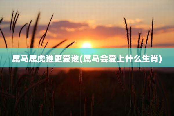 属马属虎谁更爱谁(属马会爱上什么生肖)