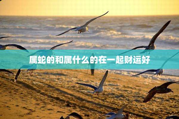 属蛇的和属什么的在一起财运好