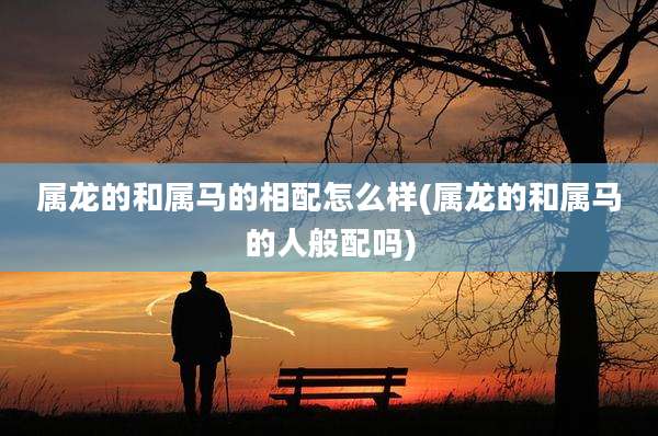 属龙的和属马的相配怎么样(属龙的和属马的人般配吗)