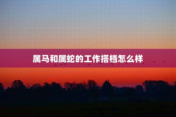 属马和属蛇的工作搭档怎么样