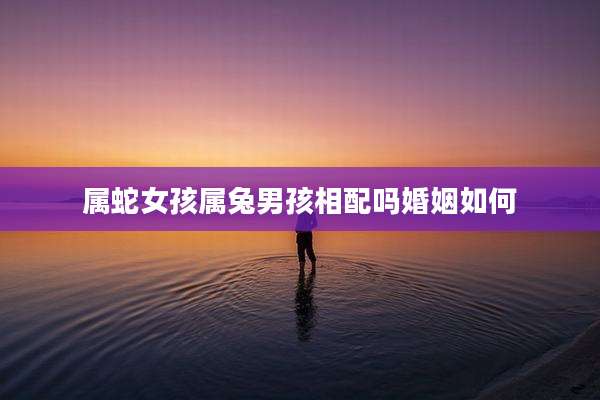 属蛇女孩属兔男孩相配吗婚姻如何