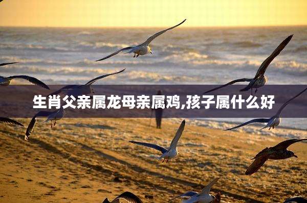 生肖父亲属龙母亲属鸡,孩子属什么好