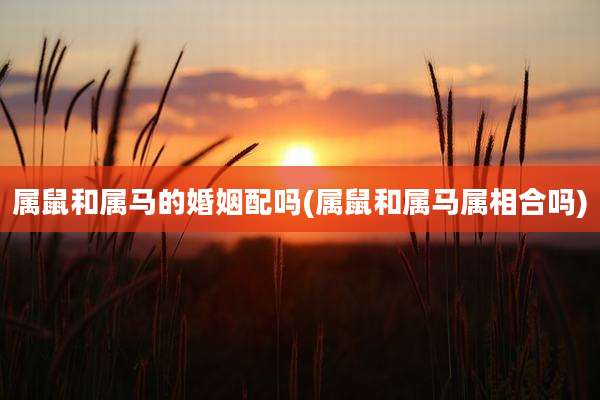 属鼠和属马的婚姻配吗(属鼠和属马属相合吗)