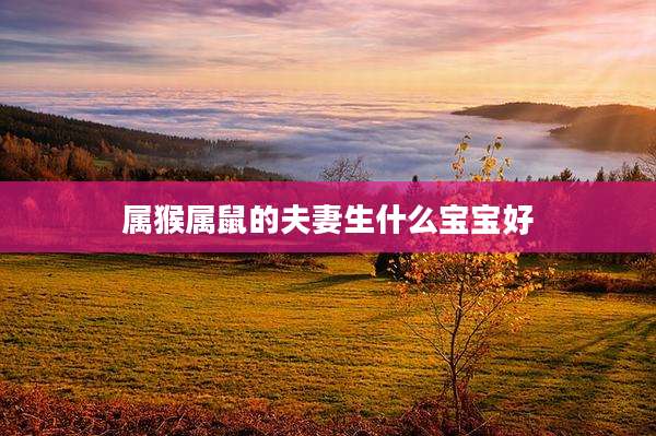 属猴属鼠的夫妻生什么宝宝好