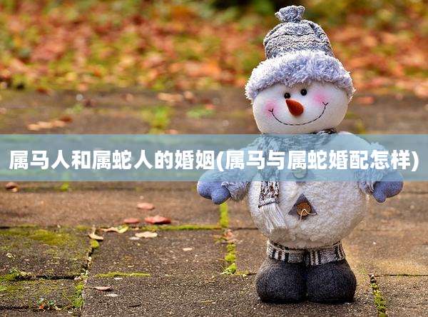 属马人和属蛇人的婚姻(属马与属蛇婚配怎样)