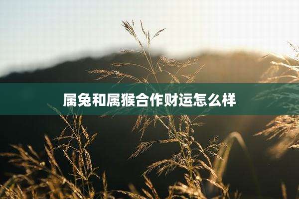 属兔和属猴合作财运怎么样