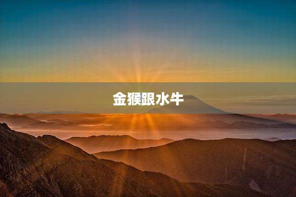 金猴跟水牛
