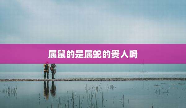 属鼠的是属蛇的贵人吗