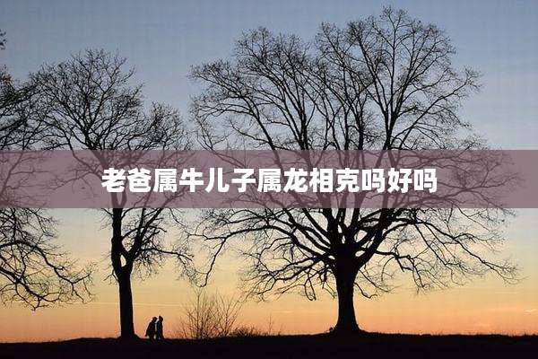 老爸属牛儿子属龙相克吗好吗
