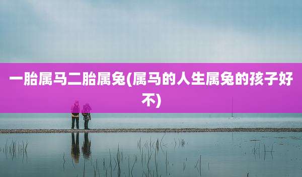 一胎属马二胎属兔(属马的人生属兔的孩子好不)