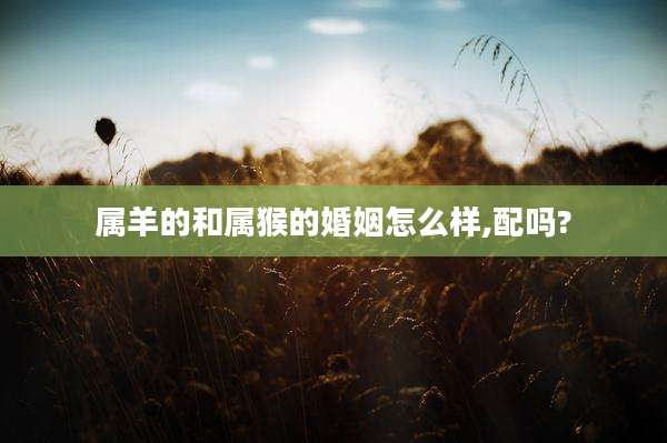 属羊的和属猴的婚姻怎么样,配吗?