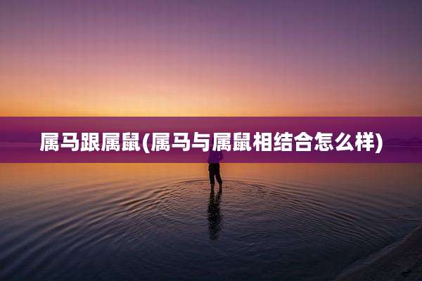 属马跟属鼠(属马与属鼠相结合怎么样)