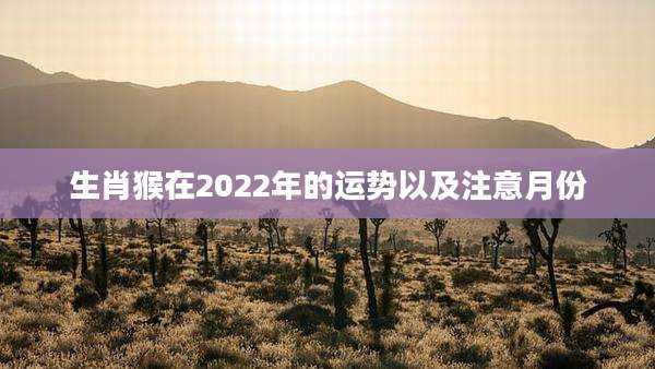 生肖猴在2022年的运势以及注意月份