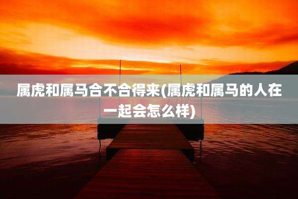 属虎和属马合不合得来(属虎和属马的人在一起会怎么样)
