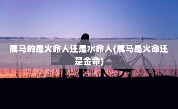 属马的是火命人还是水命人(属马是火命还是金命)