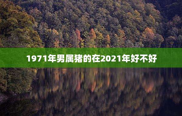 1971年男属猪的在2021年好不好