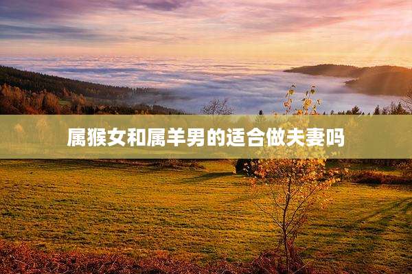 属猴女和属羊男的适合做夫妻吗