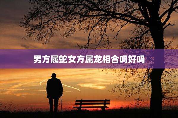 男方属蛇女方属龙相合吗好吗