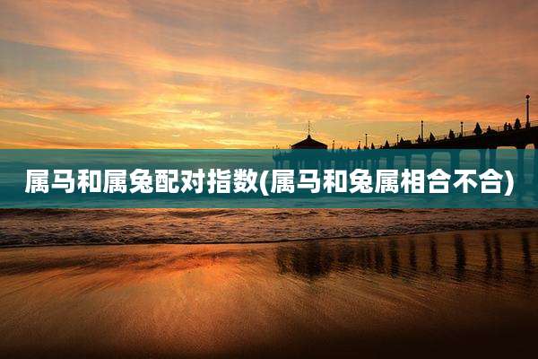 属马和属兔配对指数(属马和兔属相合不合)