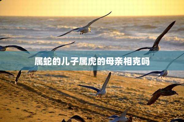 属蛇的儿子属虎的母亲相克吗