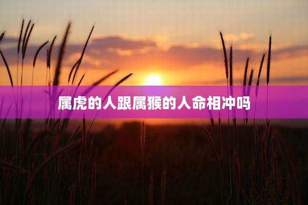 属虎的人跟属猴的人命相冲吗