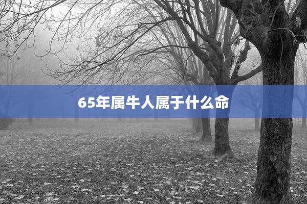 65年属牛人属于什么命