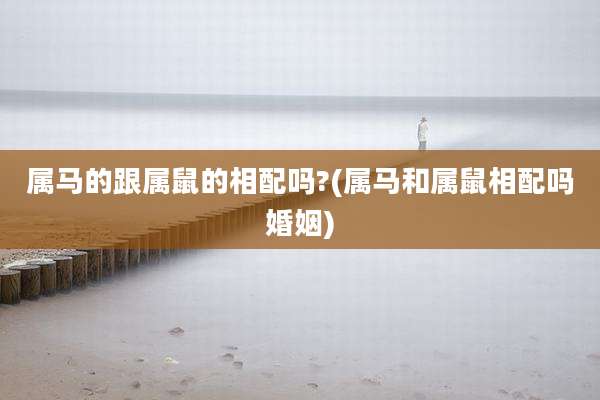 属马的跟属鼠的相配吗?(属马和属鼠相配吗婚姻)