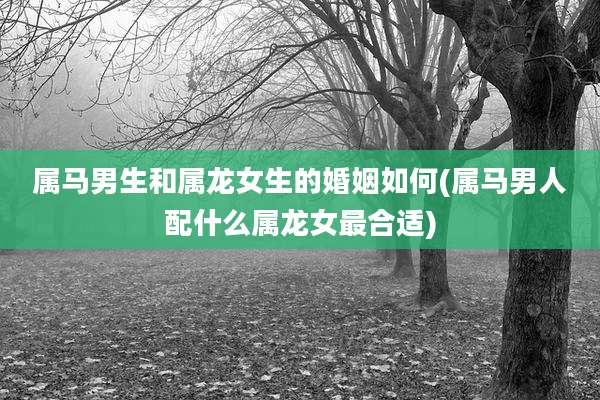 属马男生和属龙女生的婚姻如何(属马男人配什么属龙女最合适)