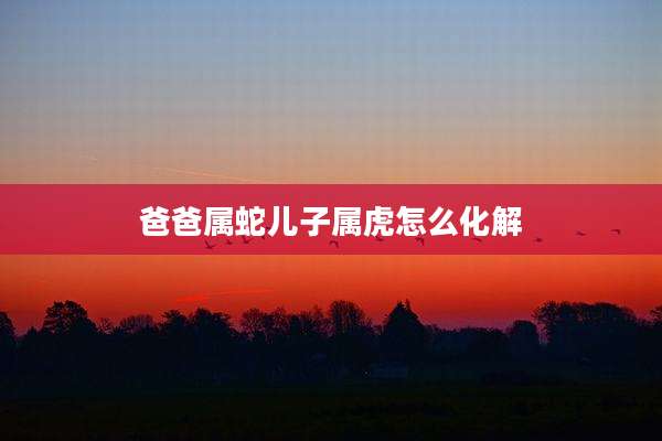 爸爸属蛇儿子属虎怎么化解