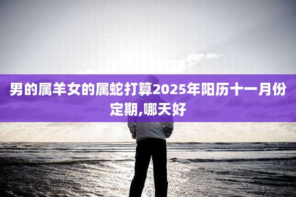 男的属羊女的属蛇打算2025年阳历十一月份定期,哪天好