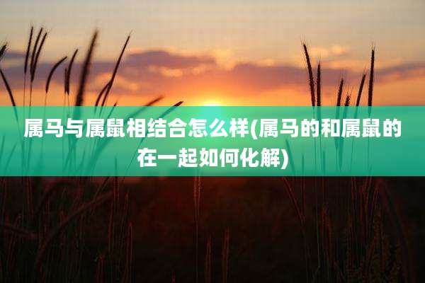 属马与属鼠相结合怎么样(属马的和属鼠的在一起如何化解)