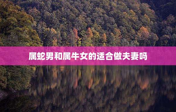 属蛇男和属牛女的适合做夫妻吗