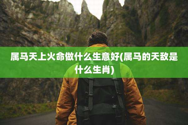 属马天上火命做什么生意好(属马的天敌是什么生肖)