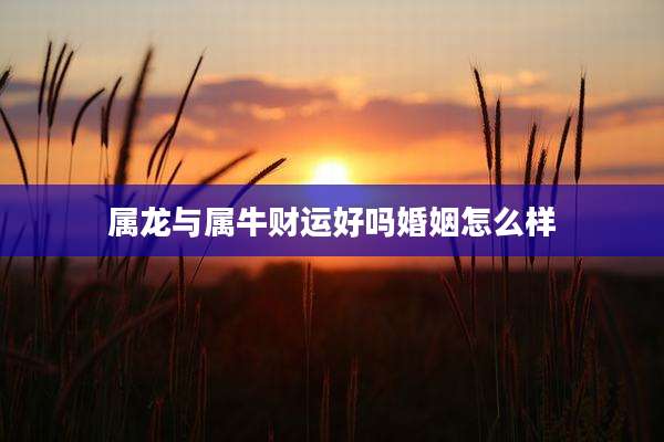 属龙与属牛财运好吗婚姻怎么样