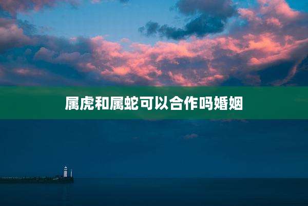 属虎和属蛇可以合作吗婚姻