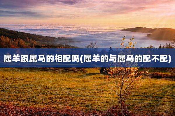 属羊跟属马的相配吗(属羊的与属马的配不配)